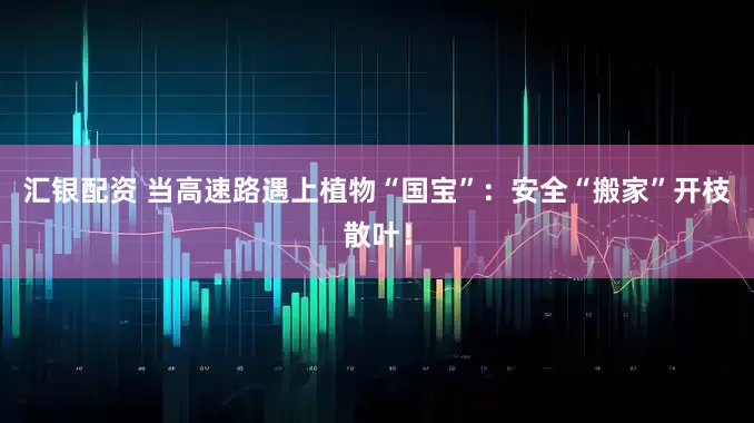 汇银配资 当高速路遇上植物“国宝”：安全“搬家”开枝散叶！