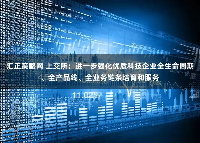 汇正策略网 上交所：进一步强化优质科技企业全生命周期、全产品线、全业务链条培育和服务